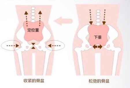 徒手缩阴:关于骨盆,你应该知道的重点